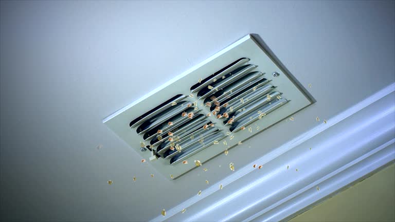 Best Dryer Vent Cleaning Services  in Fruitland, ID