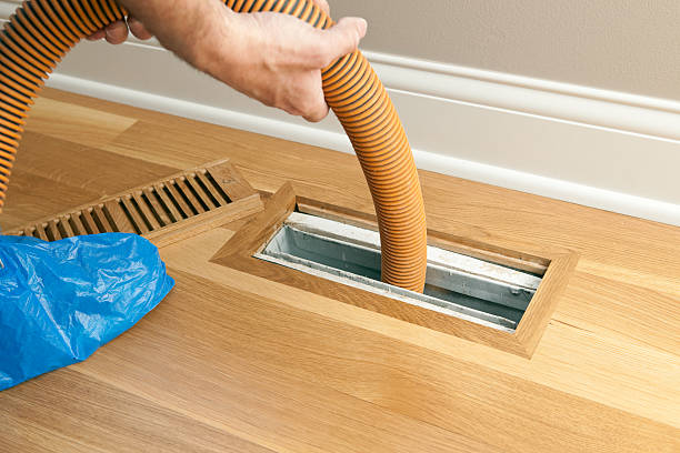 Air Duct Mold Removal in ID